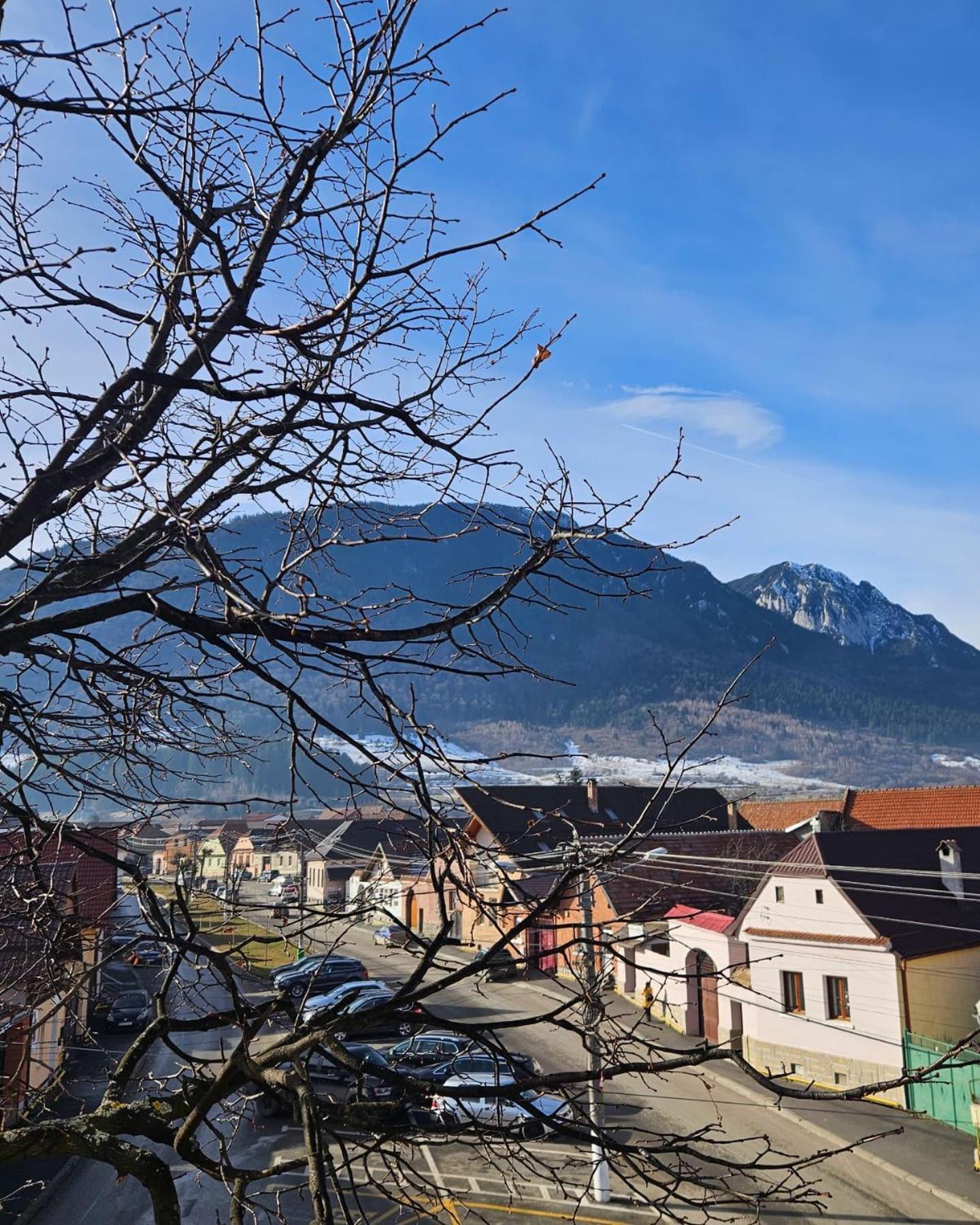 Apartment Zarnesti City Centre Vmp Free Parking Exterior foto
